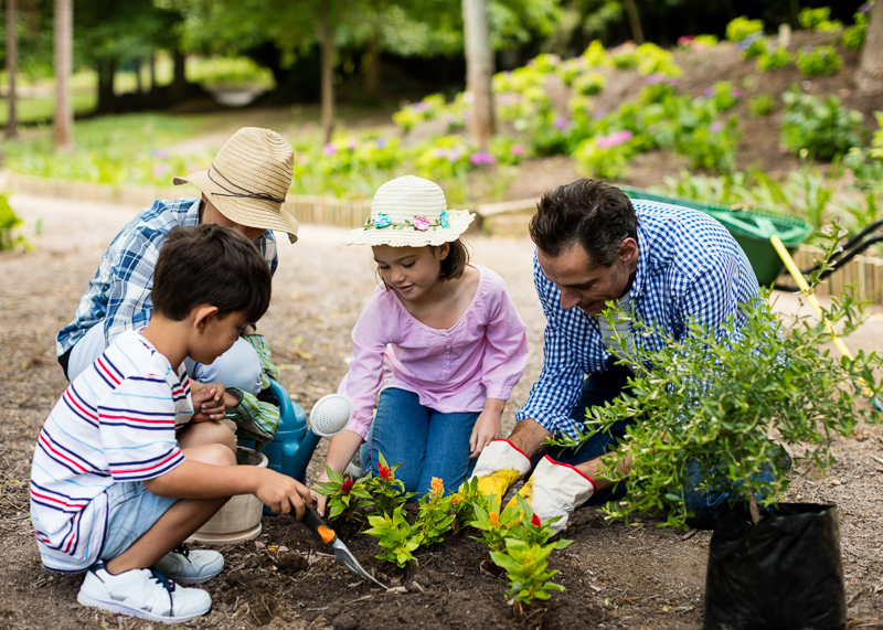 DIY Projects for the Entire Family