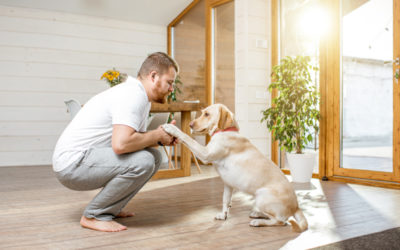 Are Millennials Buying Homes For Their Dogs?