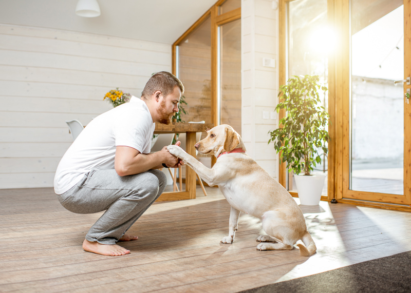 Are Millennials Buying Homes For Their Dogs?