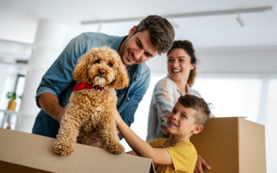 Make Moving With Pets Stress-Free