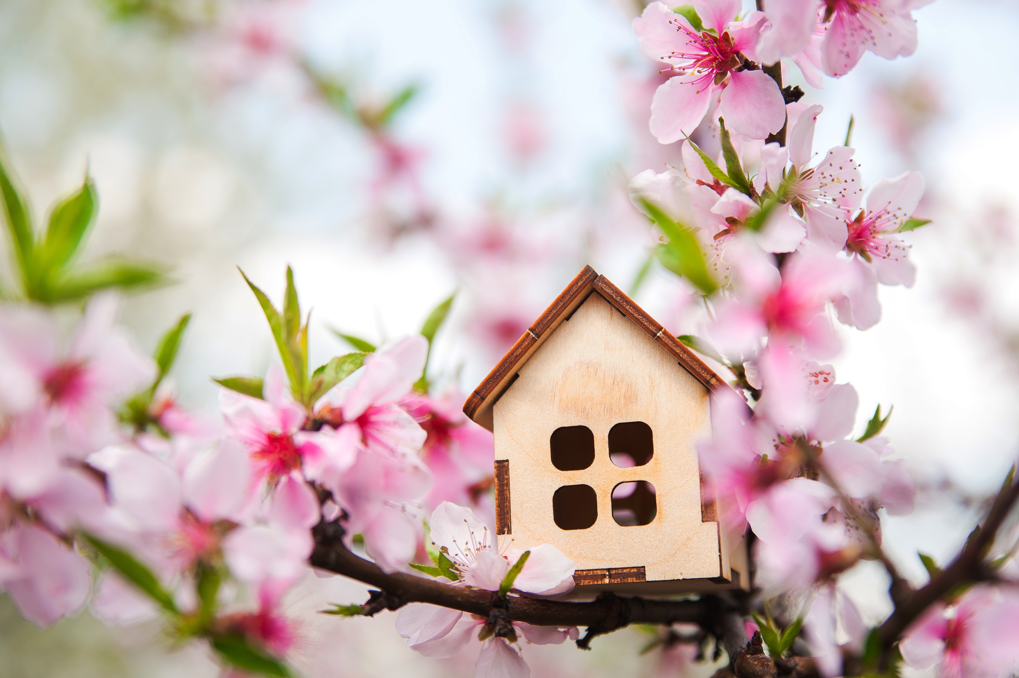 What You Can Expect from the Spring Housing Market