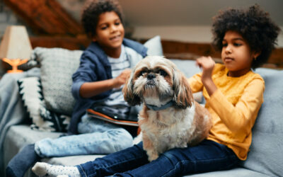 8 Ways to Keep Kids and Pets Safe in Your Home